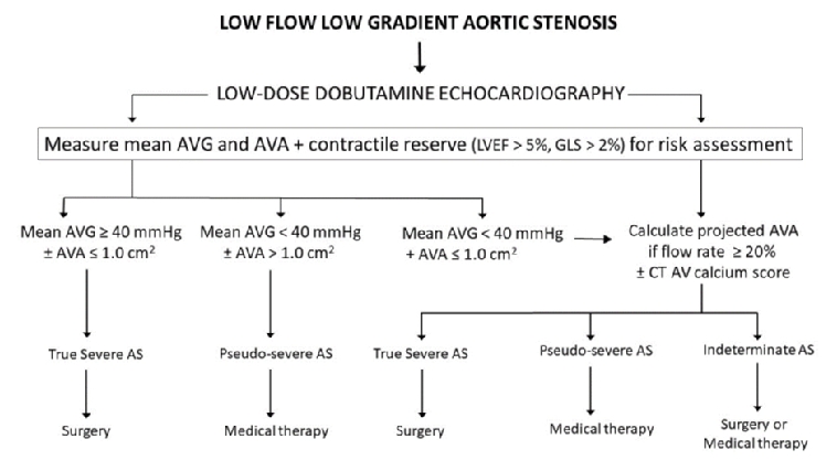 low-flow-low-gradient-aortic-stenosis-dobutamine-lesha-covey